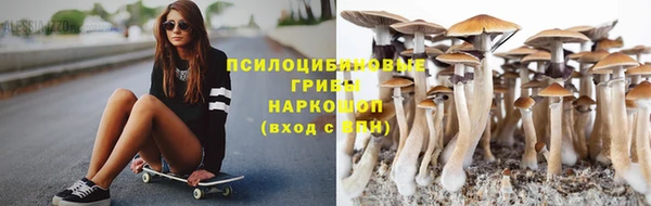 Альфа ПВП Володарск