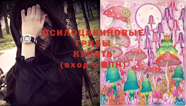 Альфа ПВП Володарск